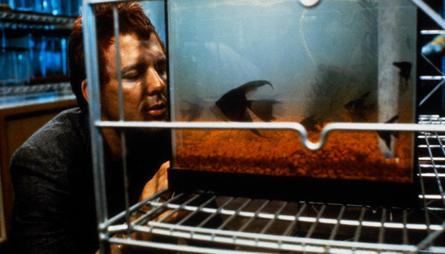 Кадры из Бойцовая рыбка (1983)