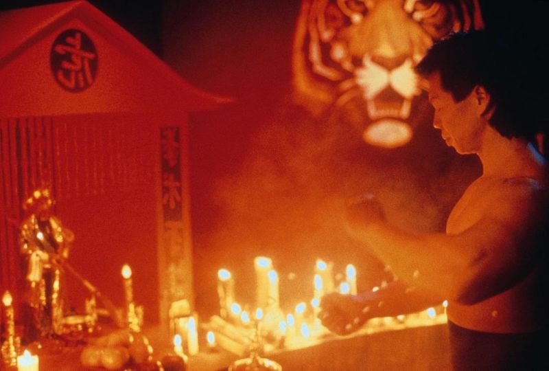 Кадры из Коготь тигра (1992)