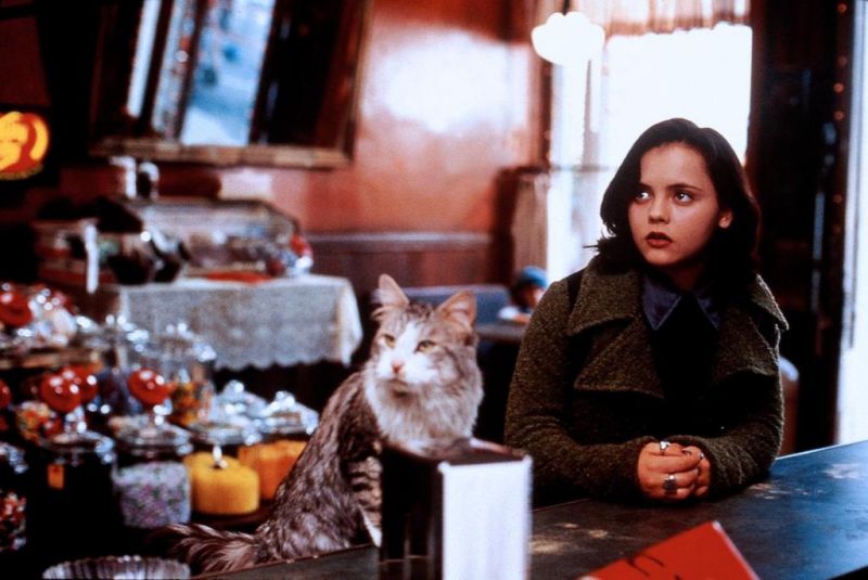 Кадры из Эта дикая кошка (1997)