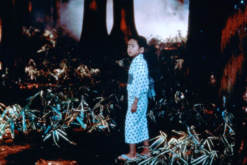 Кадры из Сны Акиры Куросавы (1990)