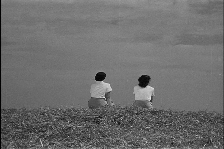 Кадры из Пора созревания пшеницы (1951)