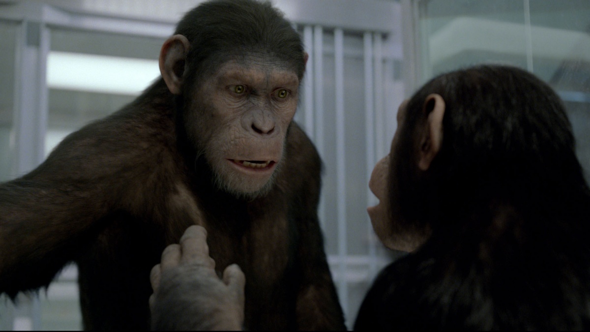 Кадры из Восстание планеты обезьян (2011)