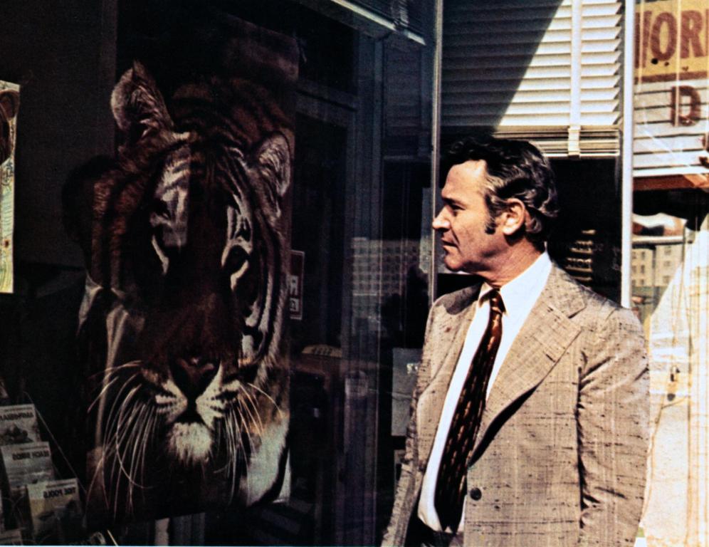 Кадры из Спасите тигра (1973)