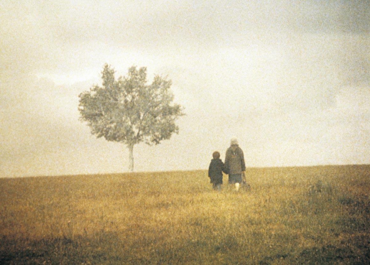 Кадры из Пейзаж в тумане (1988)