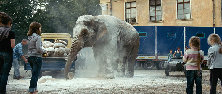 Кадры из Слон (2010)