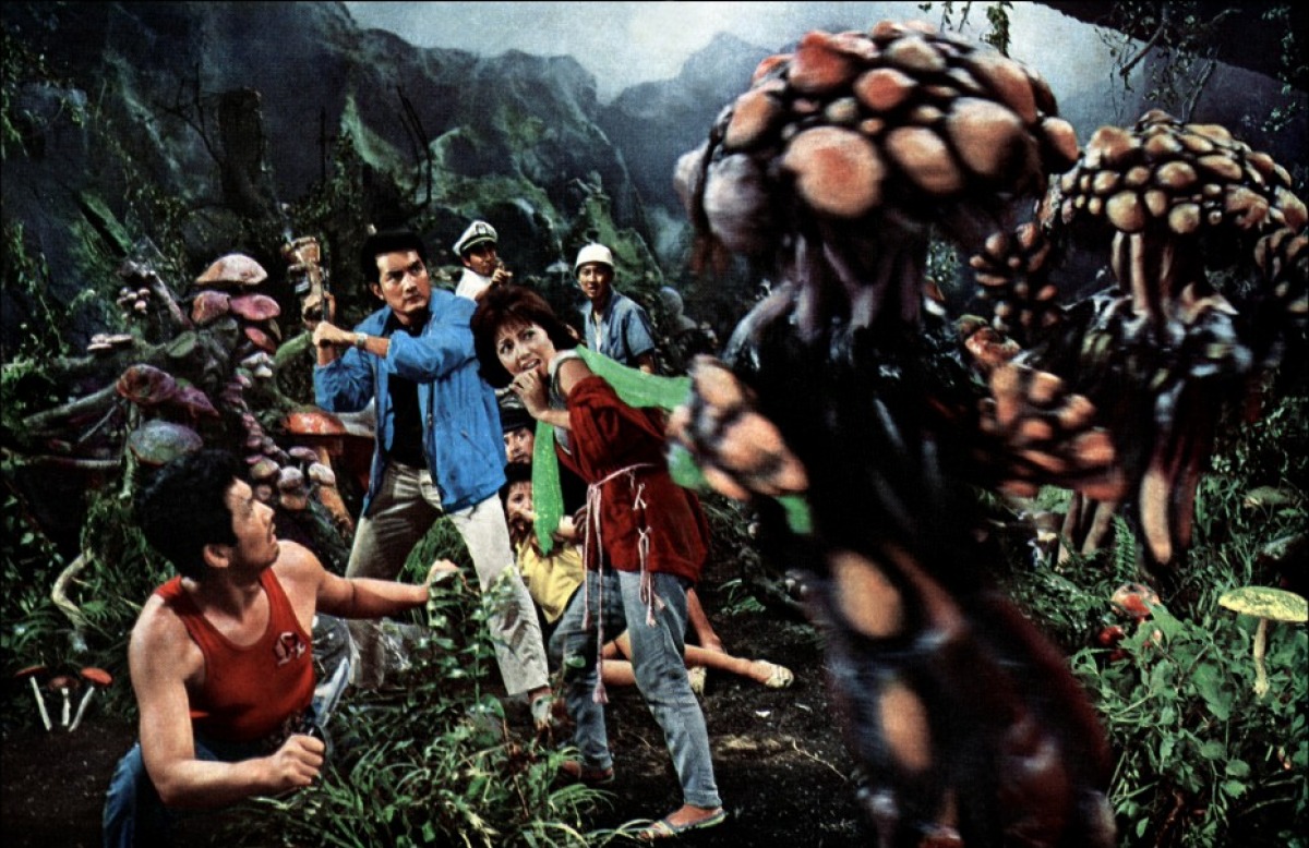 Кадры из Нападение людей-грибов (1963)