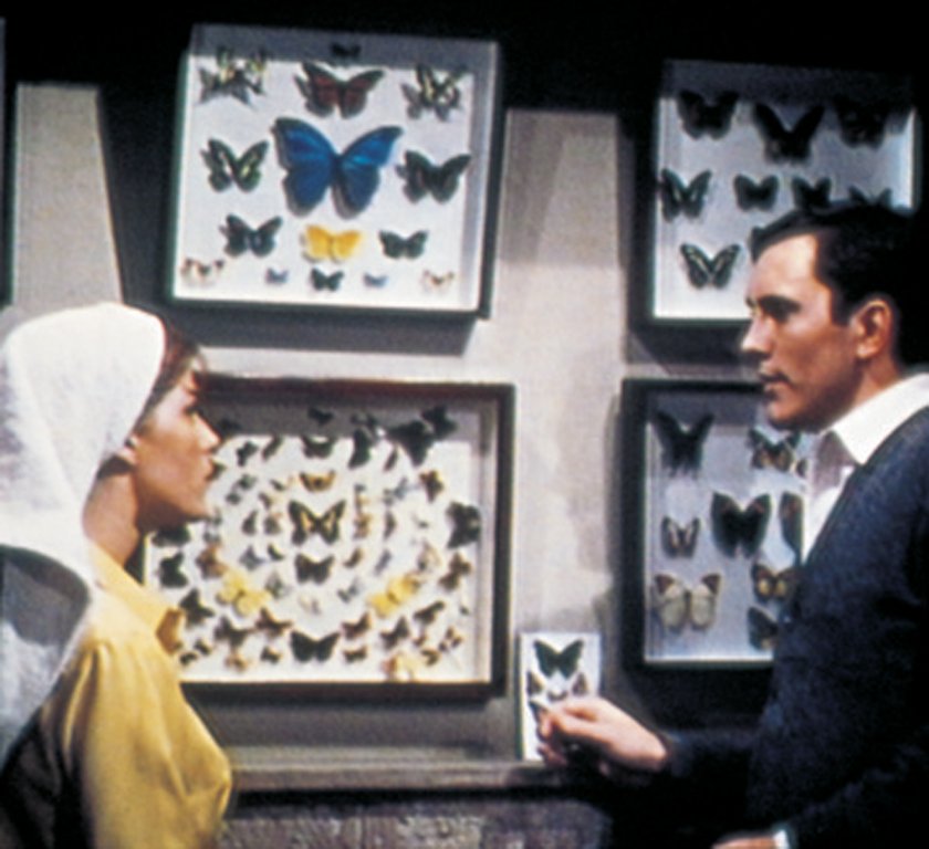 Кадры из Коллекционер (1965)