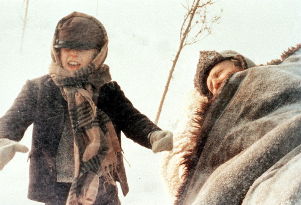 Кадры из Эмиль из Лённеберги (1971)