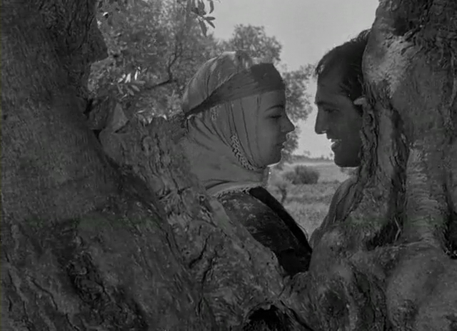 Кадры из Засушливое лето (1963)