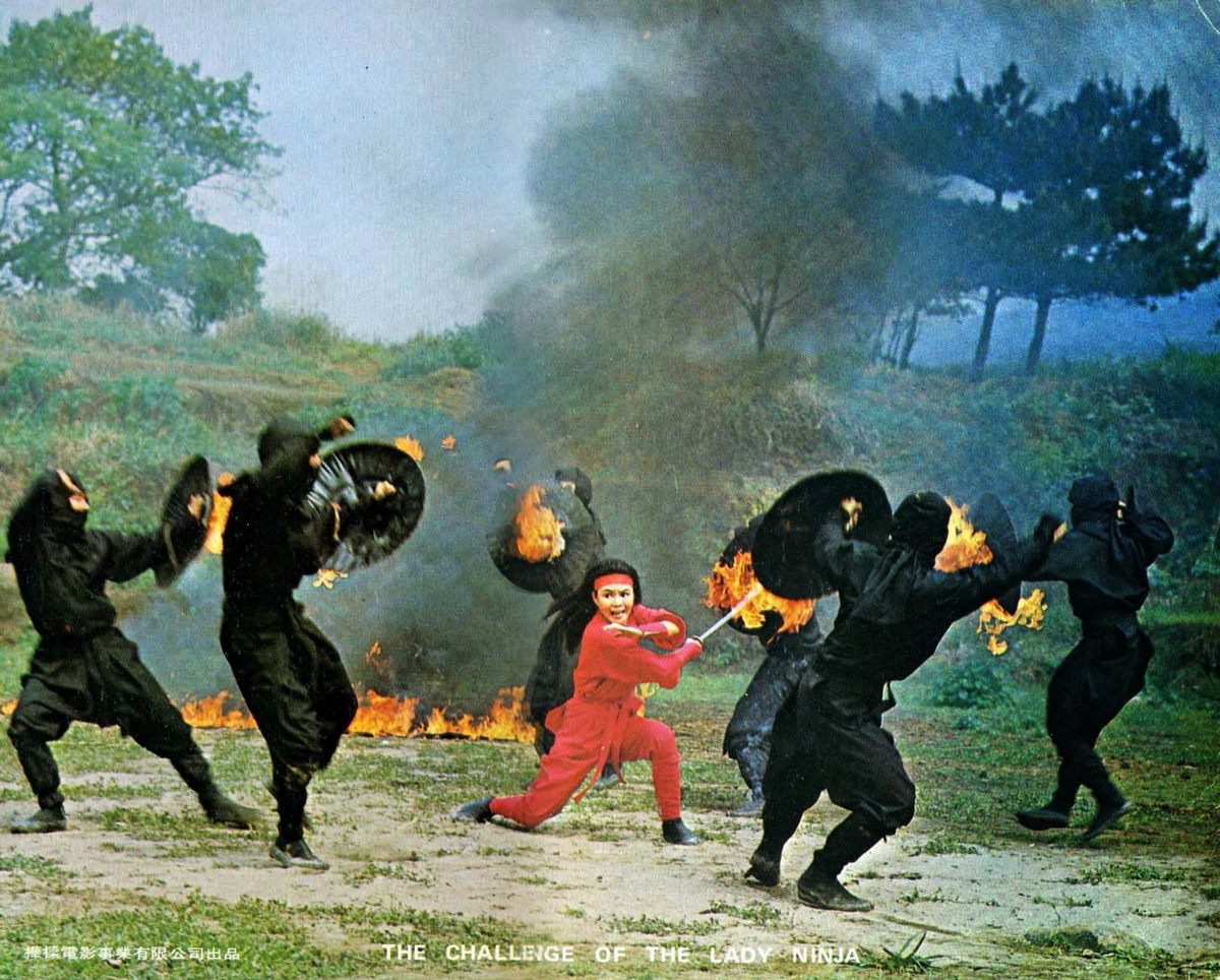 Кадры из Задание леди-ниндзя (1983)
