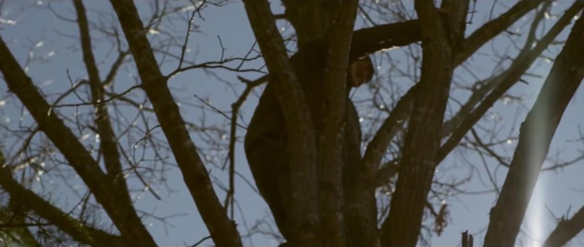 Кадры из Домик на дереве (2014)