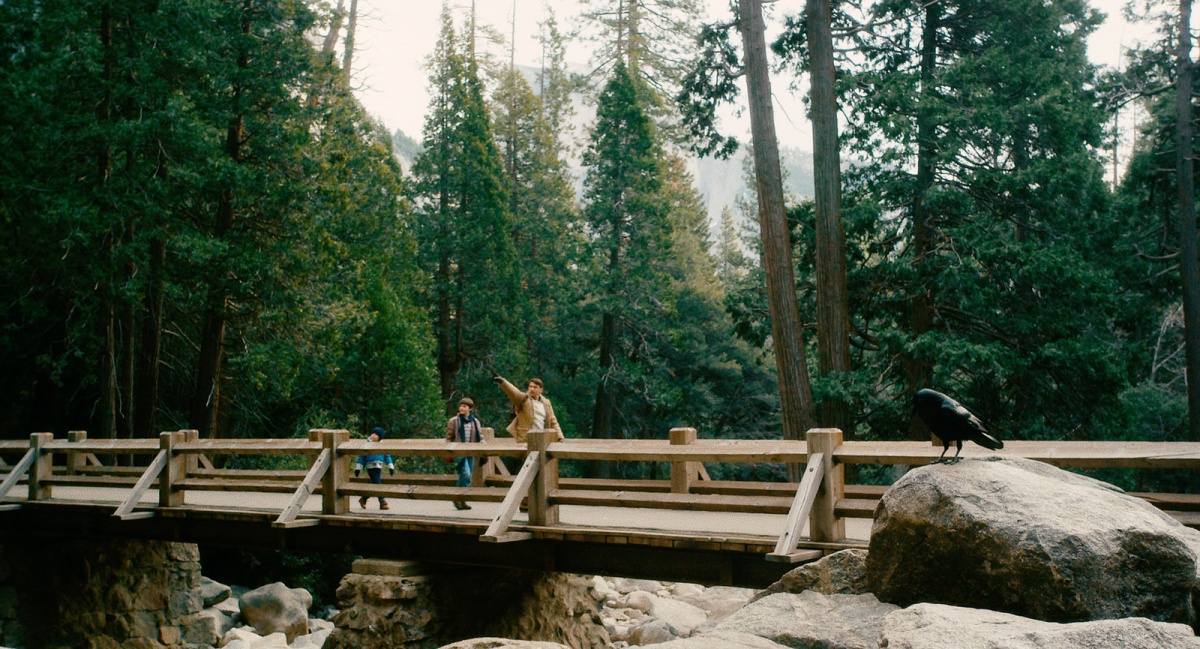 Кадры из Йосемити (2015)