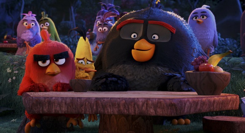 Кадры из Angry Birds в кино (2016)