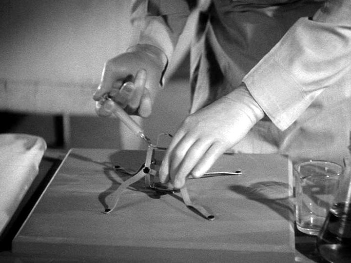 Кадры из Человек-невидимка возвращается (1940)