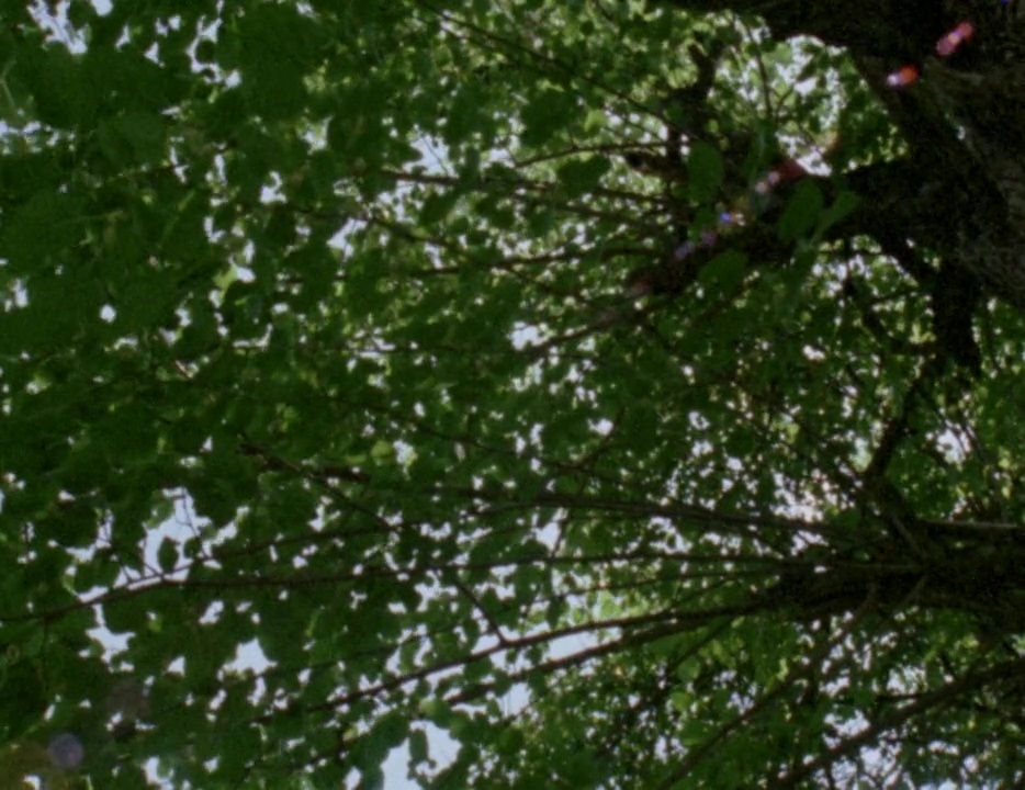 Кадры из Бабочка (1973)