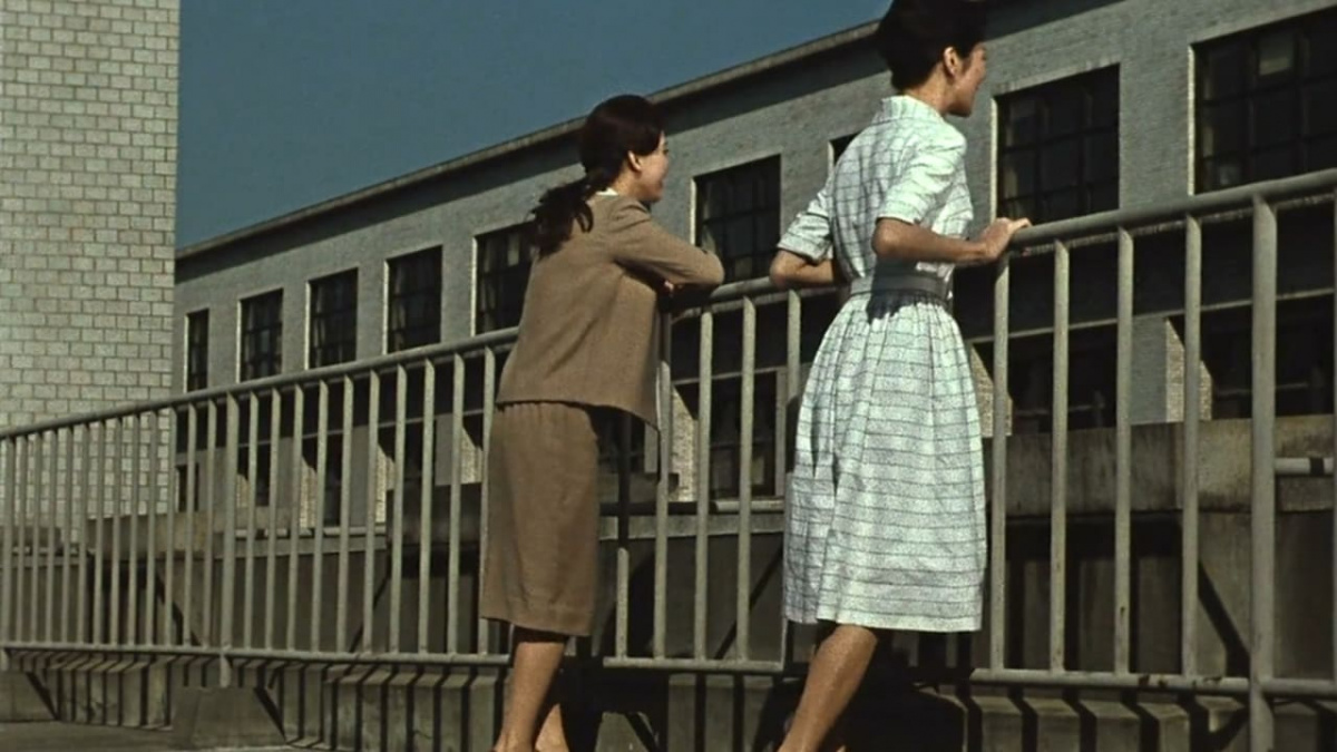 Кадры из Поздняя осень (1960)