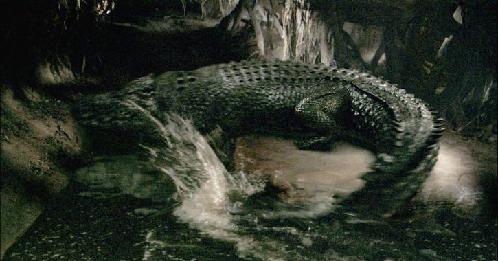 Кадры из Крокодил (2007)