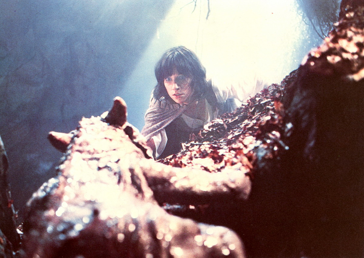 Кадры из Победитель дракона (1981)