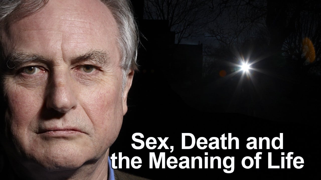 Кадры из Секс, смерть и смысл жизни (2012)