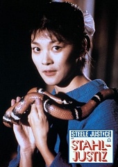 Правосудие Стила (1987)