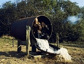 Тайна фермы Мессе (1970)
