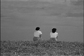 Пора созревания пшеницы (1951)