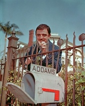 Семейка Аддамс (1964)