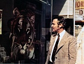 Спасите тигра (1973)
