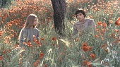 Брат Солнце, сестра Луна (1972)