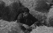 Красные рейтузы (1962)