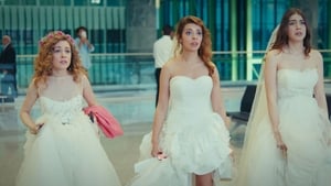 Сбежавшие невесты (2014)