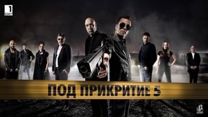 Под прикрытием (2011)