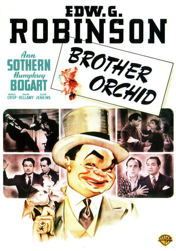 Постер Смотреть фильм Брат «Орхидея» 1940 онлайн бесплатно в хорошем качестве