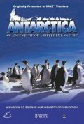 Смотреть Антарктика: Путешествие в неизвестную природу онлайн в HD качестве 720p