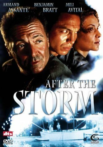 Постер Смотреть фильм После шторма 2001 онлайн бесплатно в хорошем качестве