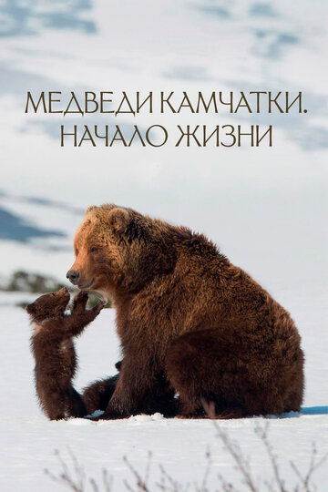 Смотреть Медведи Камчатки. Начало жизни онлайн в HD качестве 720p