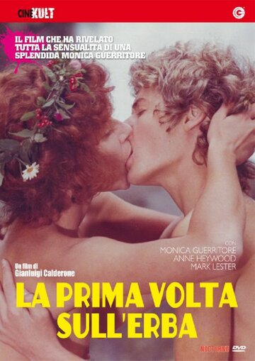 Постер Трейлер фильма Любовь под вязами 1975 онлайн бесплатно в хорошем качестве