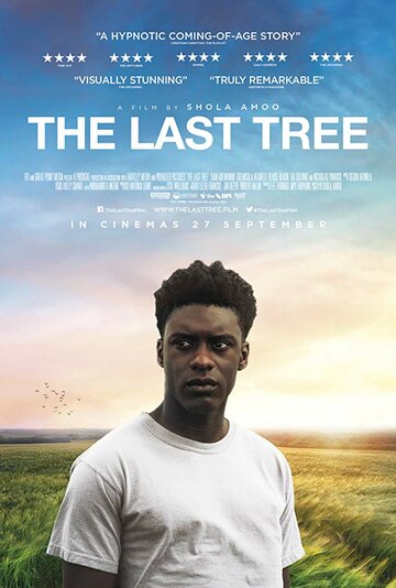 Постер Смотреть фильм Последнее дерево 2019 онлайн бесплатно в хорошем качестве