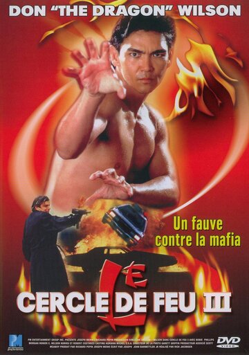 Постер Смотреть фильм Огненное кольцо 3: Удар льва 1994 онлайн бесплатно в хорошем качестве