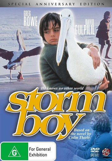 Постер Трейлер фильма Мальчик и океан 1976 онлайн бесплатно в хорошем качестве