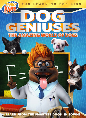 Смотреть Dog Geniuses онлайн в HD качестве 720p
