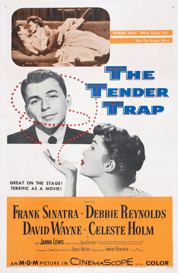 Постер Смотреть фильм Нежный капкан 1955 онлайн бесплатно в хорошем качестве