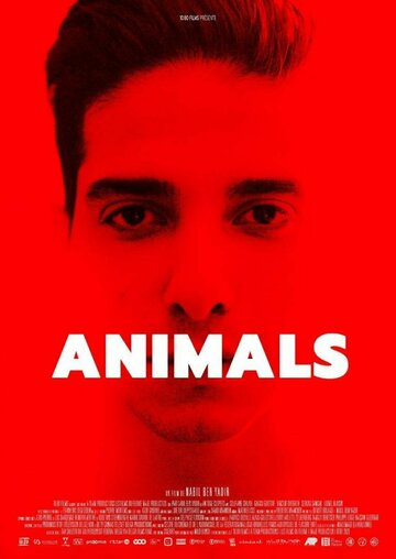 Постер Трейлер фильма Животные 2021 онлайн бесплатно в хорошем качестве