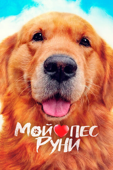 Постер Смотреть фильм Мой пёс Руни 2023 онлайн бесплатно в хорошем качестве