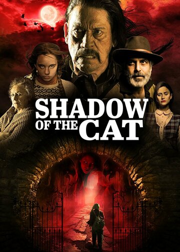 Постер Смотреть фильм Тень кота 2021 онлайн бесплатно в хорошем качестве