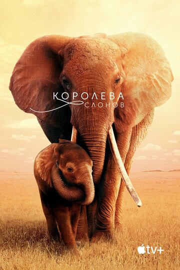 Постер Смотреть фильм Королева слонов 2019 онлайн бесплатно в хорошем качестве