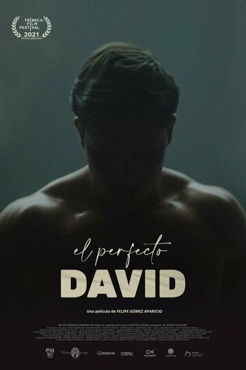 Постер Смотреть фильм Идеальный Давид 2021 онлайн бесплатно в хорошем качестве