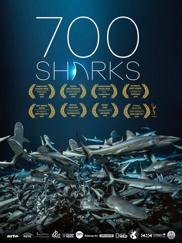 Постер Смотреть фильм 700 акул 2018 онлайн бесплатно в хорошем качестве
