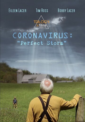 Постер Смотреть фильм Коронавирус: Идеальный шторм 2020 онлайн бесплатно в хорошем качестве