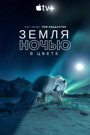 Постер Смотреть сериал Земля ночью в цвете 2020 онлайн бесплатно в хорошем качестве